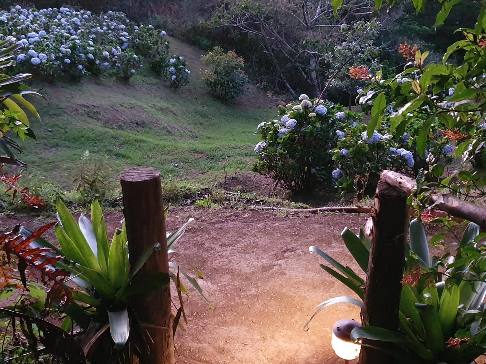 Quinta Esencia Villa Alajuela Bagian luar foto