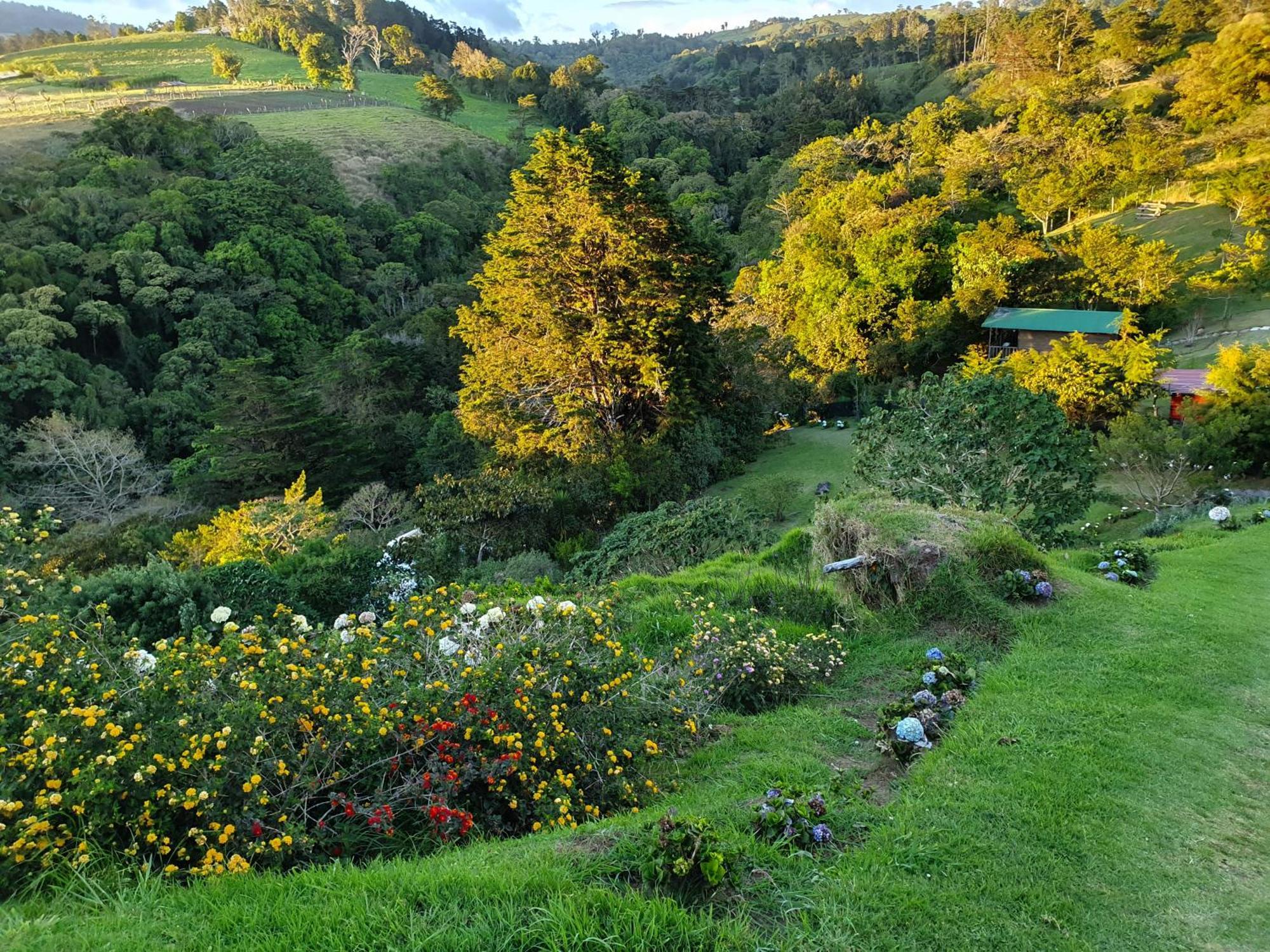 Quinta Esencia Villa Alajuela Bagian luar foto