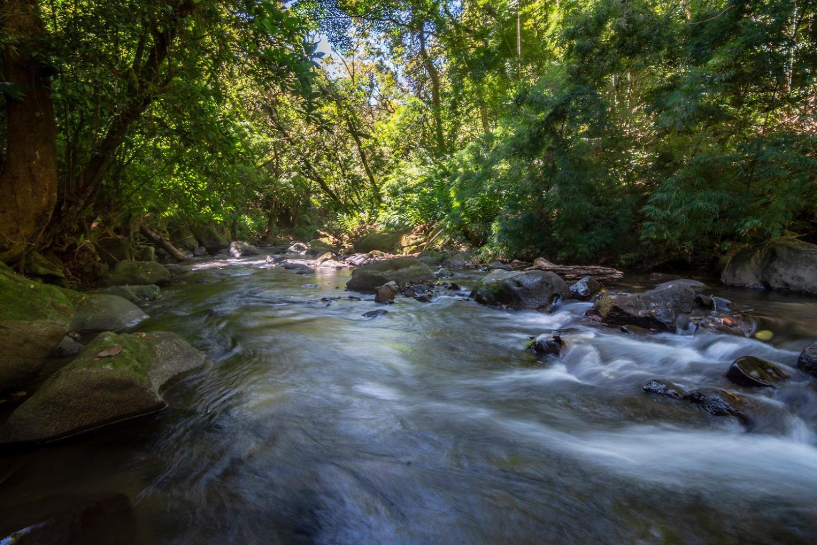 Quinta Esencia Villa Alajuela Bagian luar foto